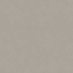 ΠΛΑΣΤΙΚΟ ΔΑΠΕΔΟ RUBY 70 ΤΗΣ TARKETT - 25145043 Nature Cold Grey ΠΛΑΣΤΙΚΟ ΔΑΠΕΔΟ RUBY 70 ΤΗΣ TARKETT - 25145043 Nature Cold Grey