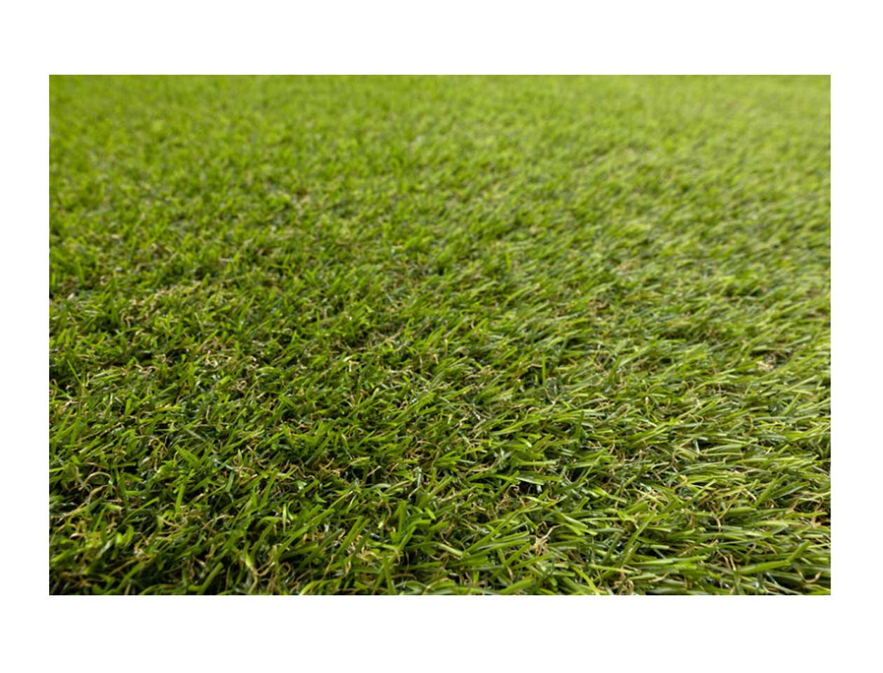 ΣΥΝΘΕΤΙΚΟΣ ΧΛΟΟΤΑΠΗΤΑΣ TURF GRASS (ALVIRA) ΤΗΣ TURF GRASS ΣΥΝΘΕΤΙΚΟΣ ΧΛΟΟΤΑΠΗΤΑΣ TURF GRASS (ALVIRA) ΤΗΣ TURF GRASS