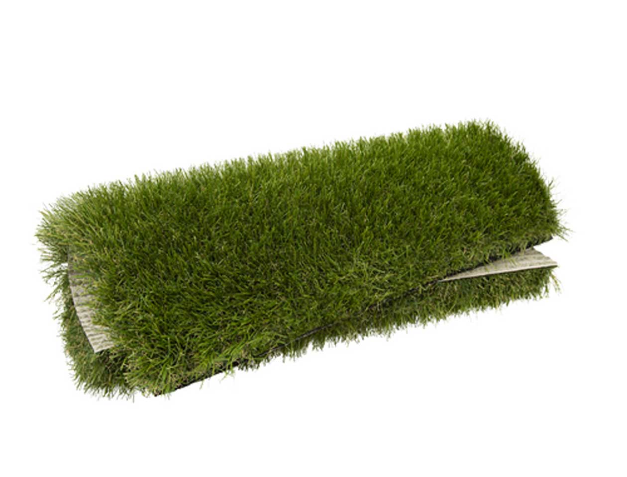 ΣΥΝΘΕΤΙΚΟΣ ΧΛΟΟΤΑΠΗΤΑΣ TURF GRASS (MYSTIQUE) ΤΗΣ TURF GRASS ΣΥΝΘΕΤΙΚΟΣ ΧΛΟΟΤΑΠΗΤΑΣ TURF GRASS (MYSTIQUE) ΤΗΣ TURF GRASS