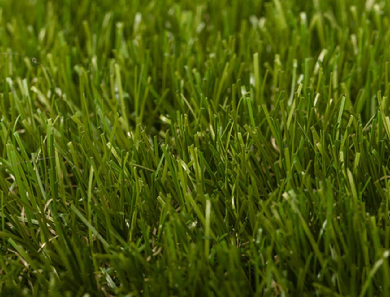 ΣΥΝΘΕΤΙΚΟΣ ΧΛΟΟΤΑΠΗΤΑΣ TURF GRASS (MYSTIQUE) ΤΗΣ TURF GRASS ΣΥΝΘΕΤΙΚΟΣ ΧΛΟΟΤΑΠΗΤΑΣ TURF GRASS (MYSTIQUE) ΤΗΣ TURF GRASS