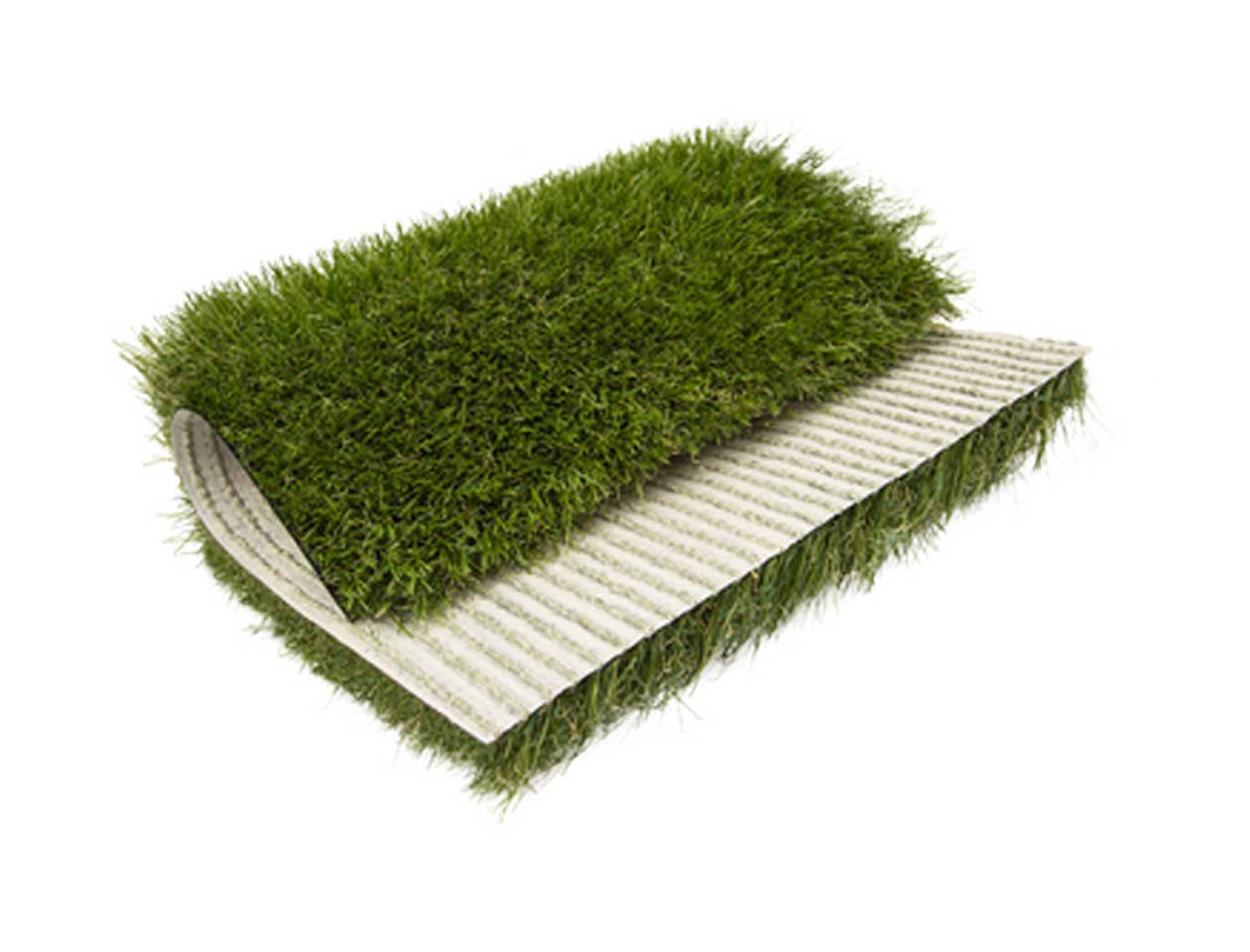 ΣΥΝΘΕΤΙΚΟΣ ΧΛΟΟΤΑΠΗΤΑΣ TURF GRASS (MYSTIQUE) ΤΗΣ TURF GRASS ΣΥΝΘΕΤΙΚΟΣ ΧΛΟΟΤΑΠΗΤΑΣ TURF GRASS (MYSTIQUE) ΤΗΣ TURF GRASS