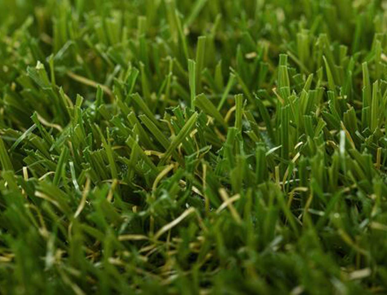 ΣΥΝΘΕΤΙΚΟΣ ΧΛΟΟΤΑΠΗΤΑΣ TURF GRASS (YADIRA) ΤΗΣ TURF GRASS ΣΥΝΘΕΤΙΚΟΣ ΧΛΟΟΤΑΠΗΤΑΣ TURF GRASS (YADIRA) ΤΗΣ TURF GRASS